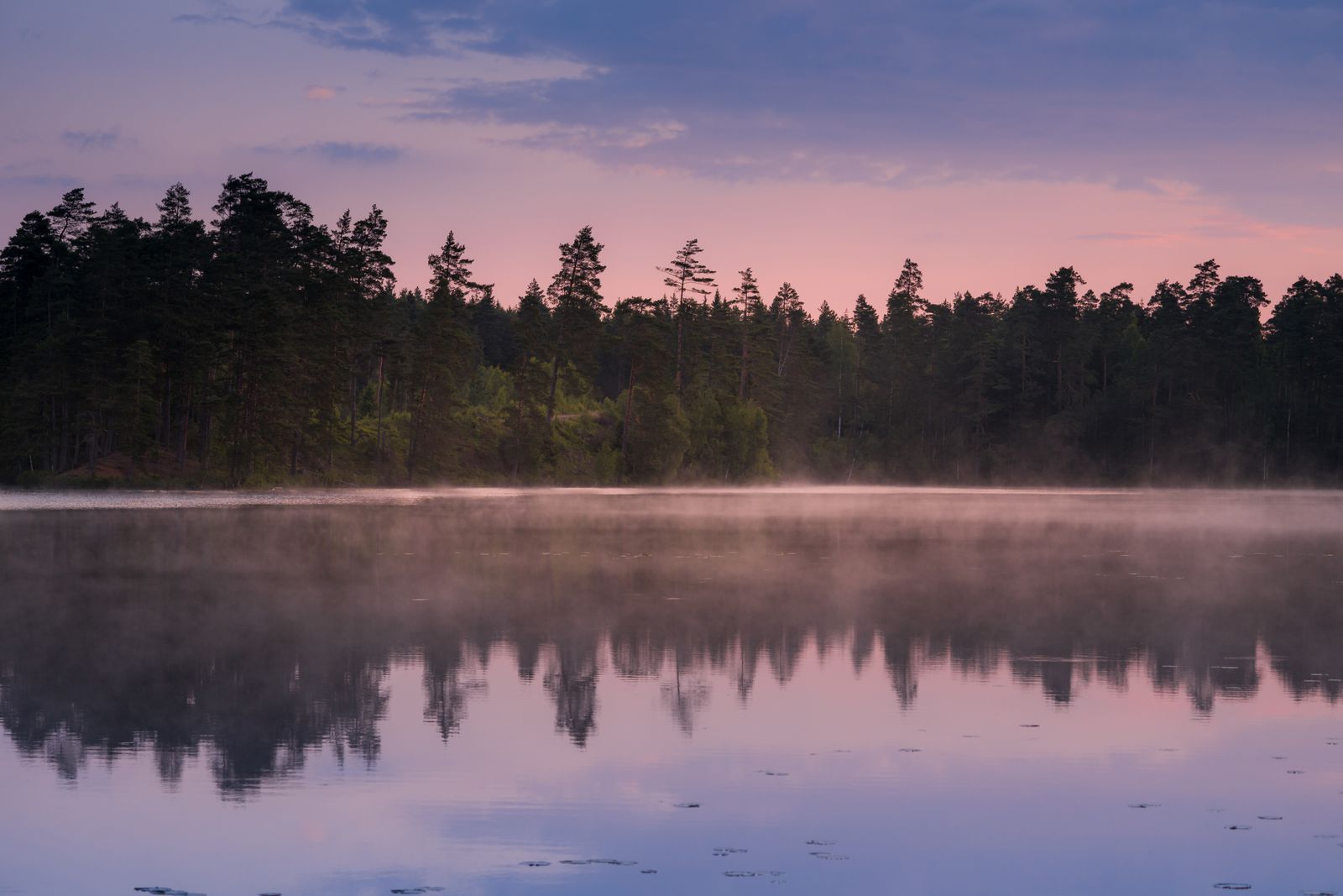 Un lac immobile sous la brume, à l'aube — l'état qui tient